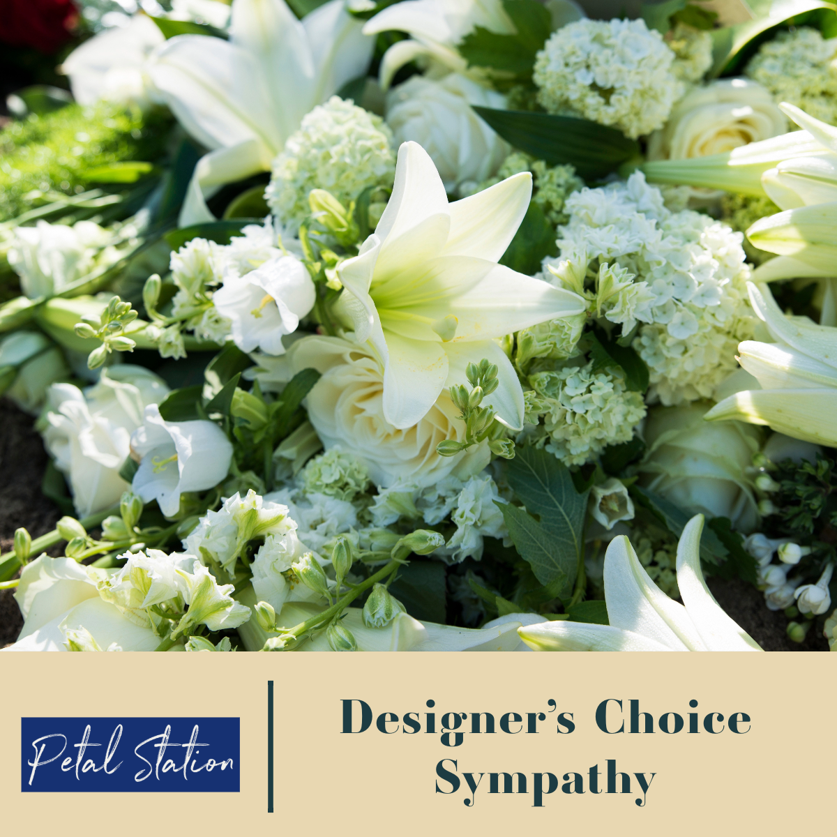 Bouquet of white and green flowers