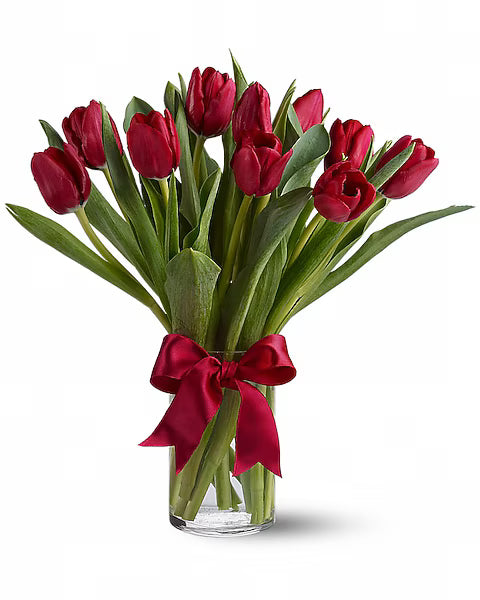 Bouquet of red tulips in a clear vase with a red ribbon on a white background