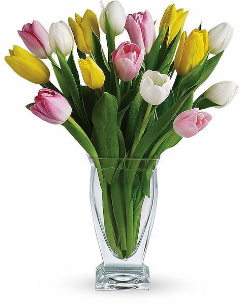 Bouquet of pink, yellow, and white tulips in a clear glass vase on a white background