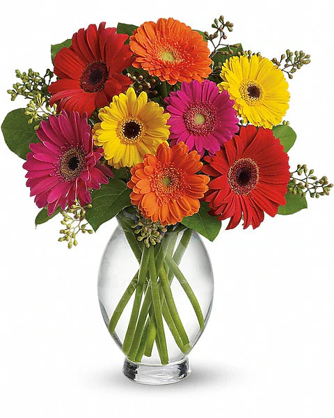Colorful gerbera bouquet in glass vase