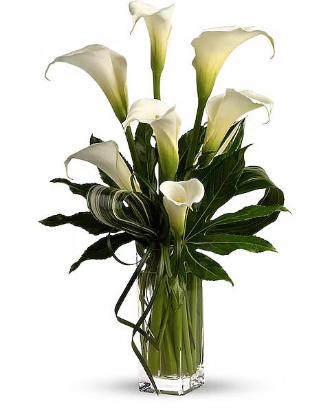 White calla lilies in a clear glass vase